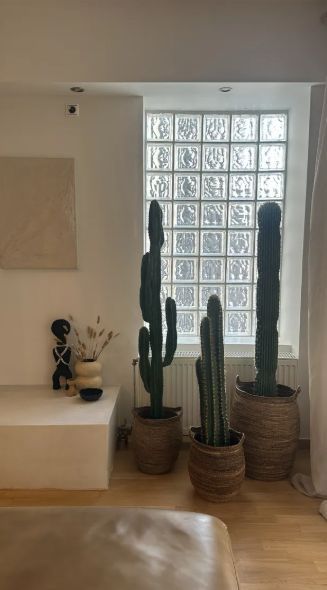 Photo 330090917