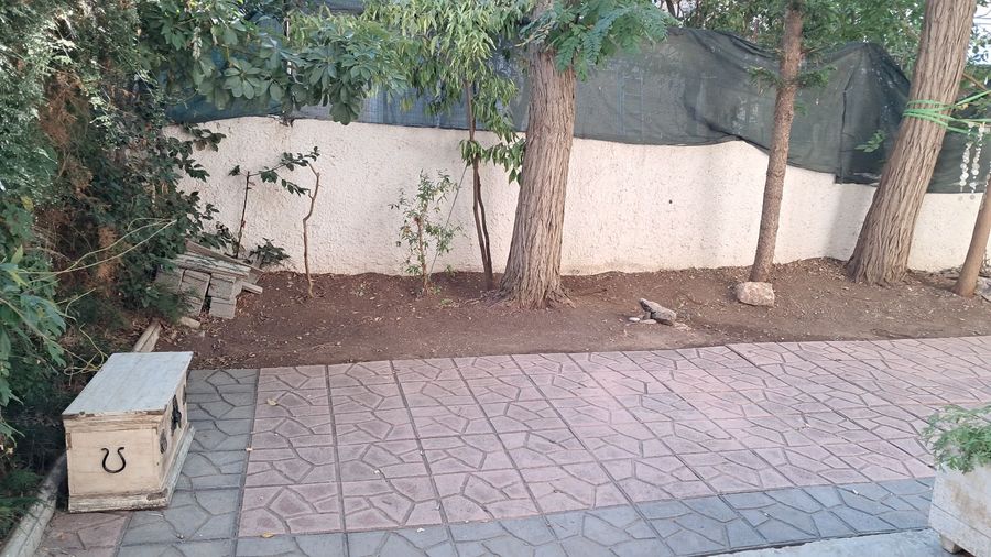 Photo 330144365