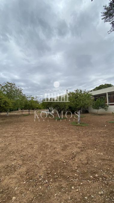 Photo 330309770