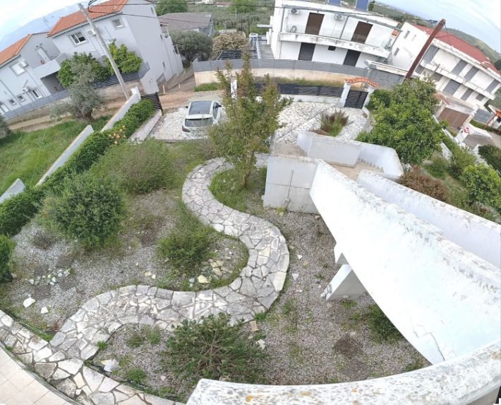 Foto 330653300