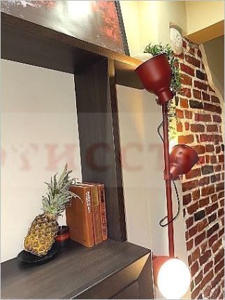 Снимка 331068002