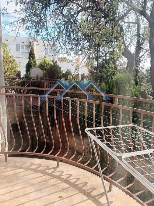 Снимка 331188845