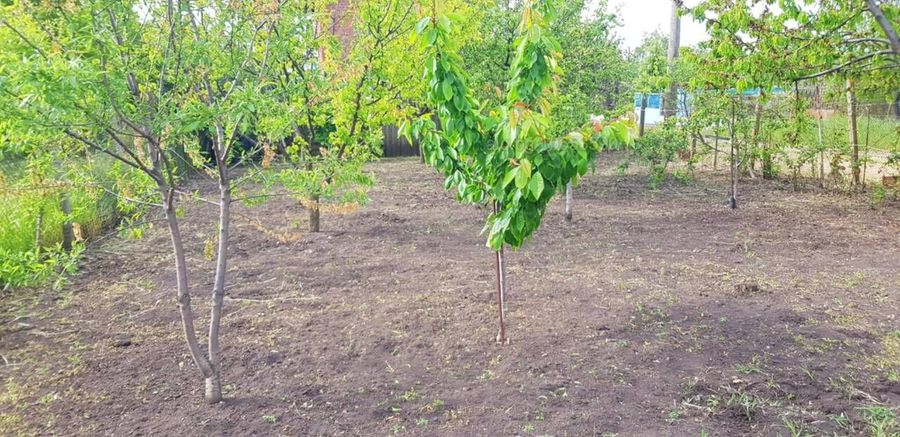 Снимка 331760246