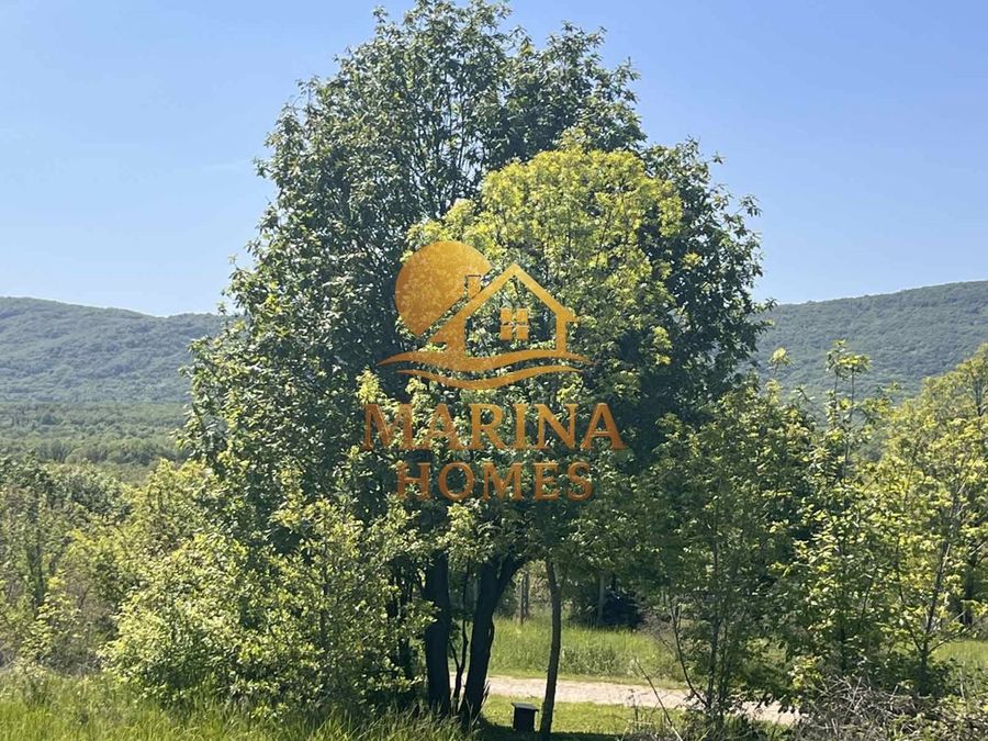 Снимка 332761709