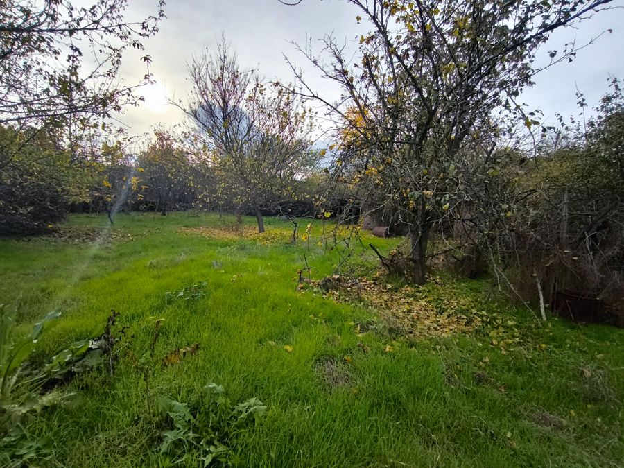 Снимка 333822809