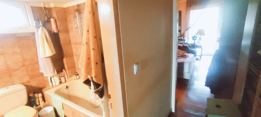 صورة فوتوغرافية 335768981