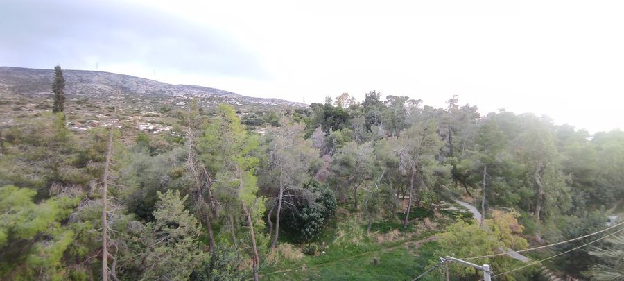 صورة فوتوغرافية 335774480