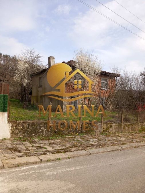 Снимка 335822138