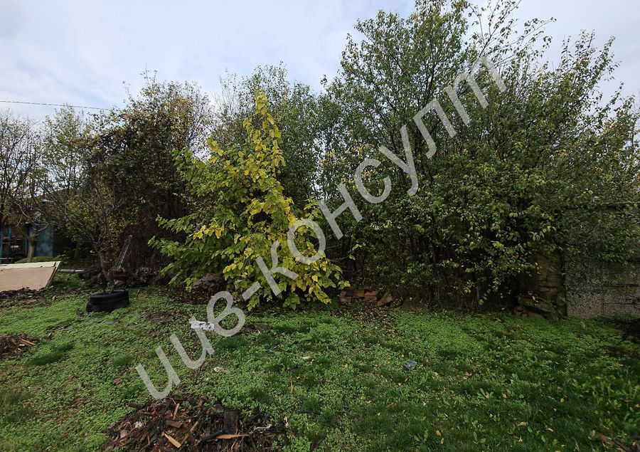 Снимка 336325142