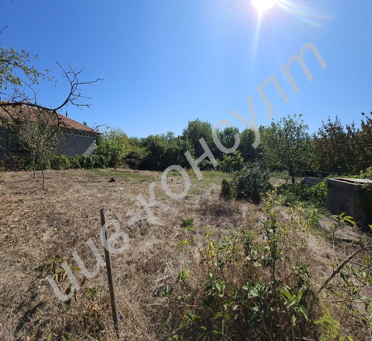 Снимка 336326852