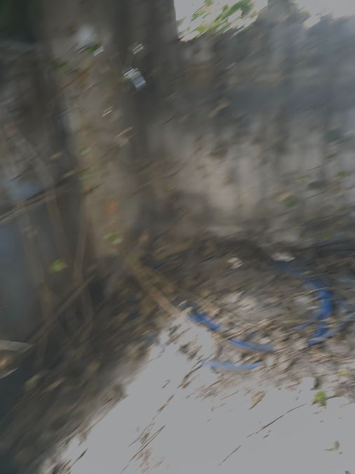 Fotografija 336700397