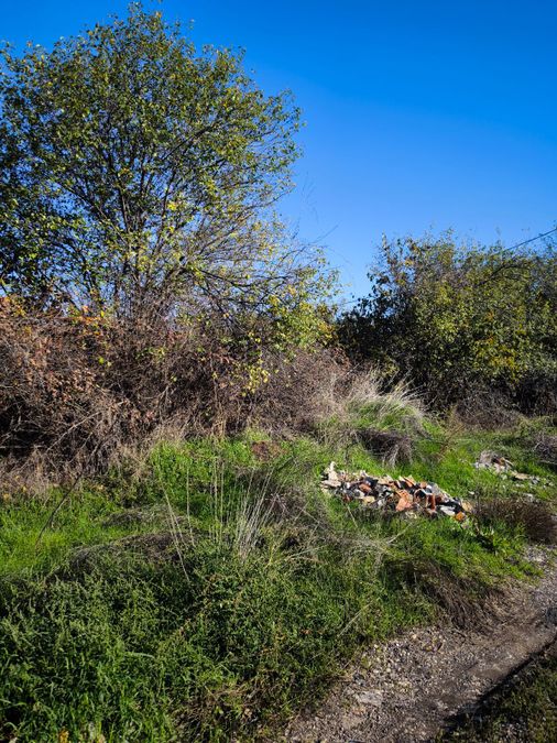 Снимка 336863834