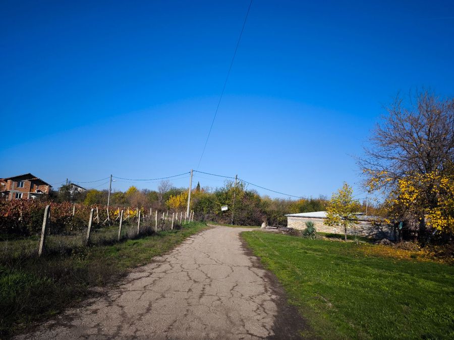 Снимка 336863840