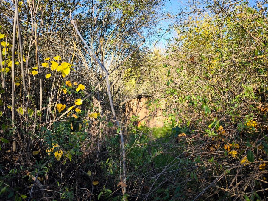 Снимка 337436603