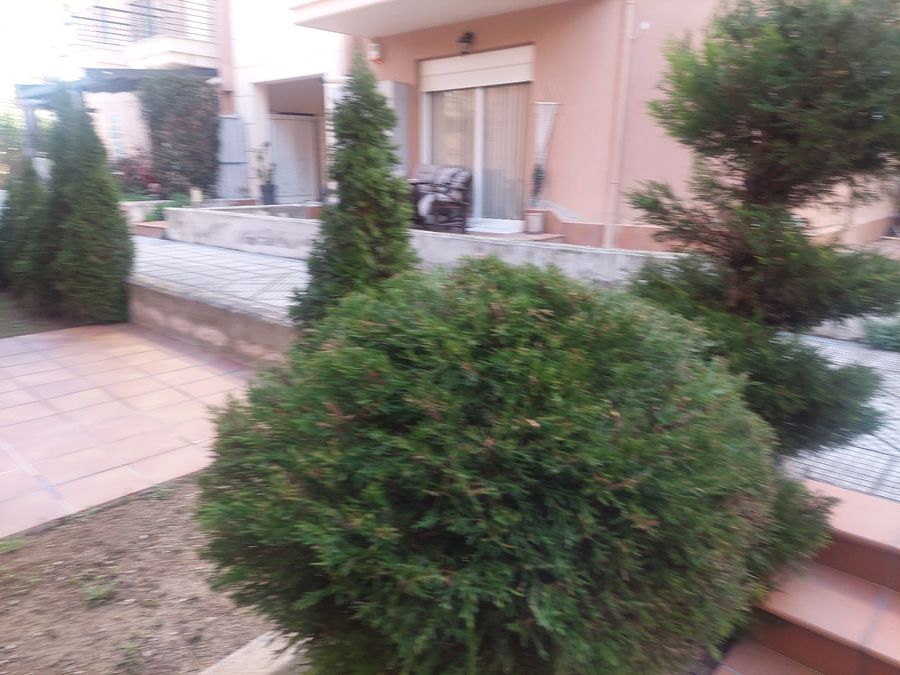 Photo 337658756