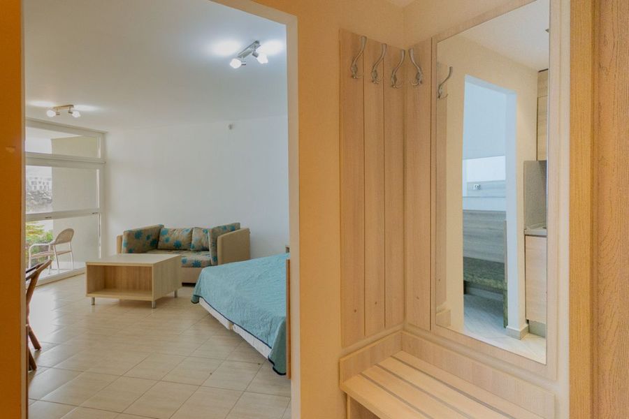 Снимка 337767317