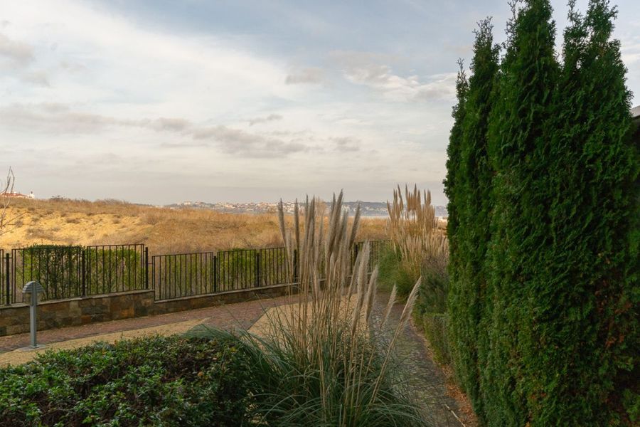 Снимка 337767320