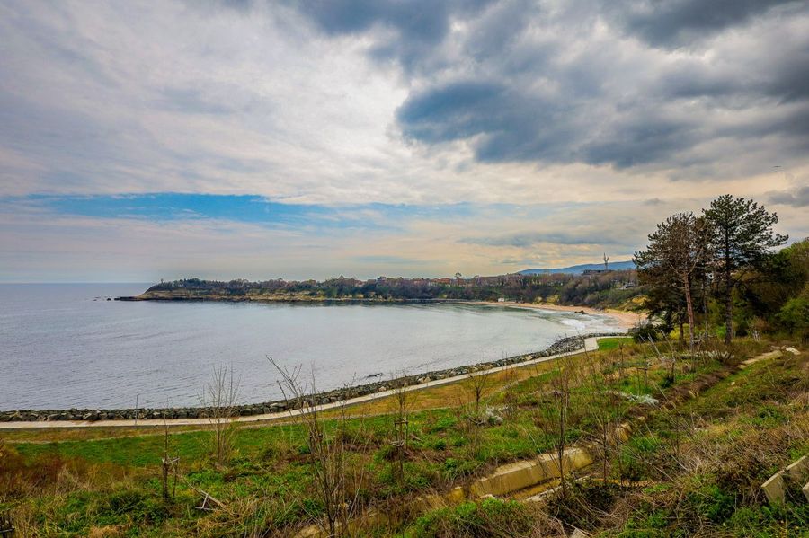 Снимка 337767521