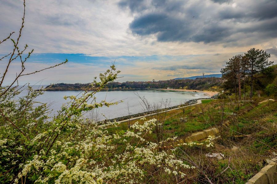 Снимка 337767536