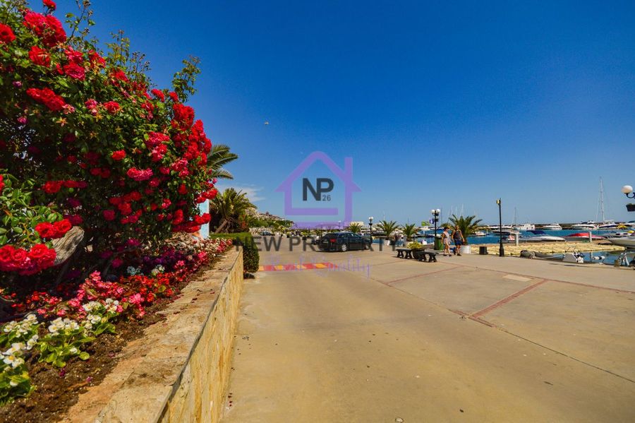 Снимка 337767677