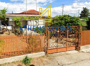 Sale, Detached house, 121m² Lechaina, Center | 18864076 | Spitogatos