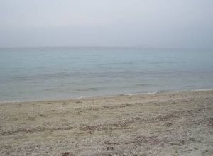 Διαμέρισμα προς πώληση Κέντρο (Κασσάνδρα) 3.000 τ.μ. 19 Υπνοδωμάτια