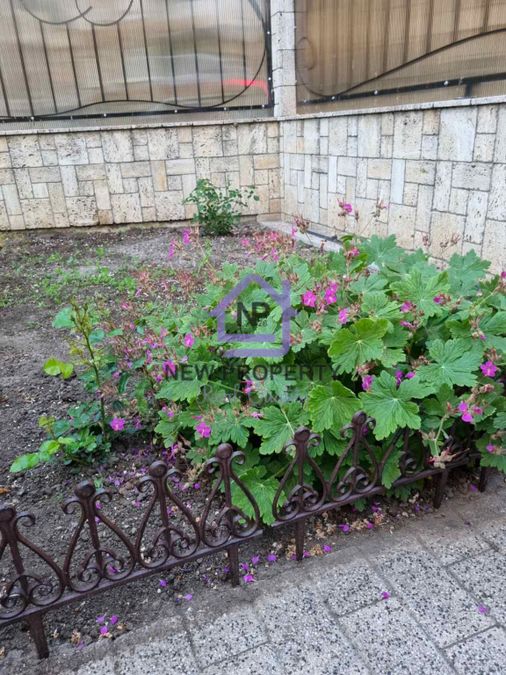 Снимка 338115167