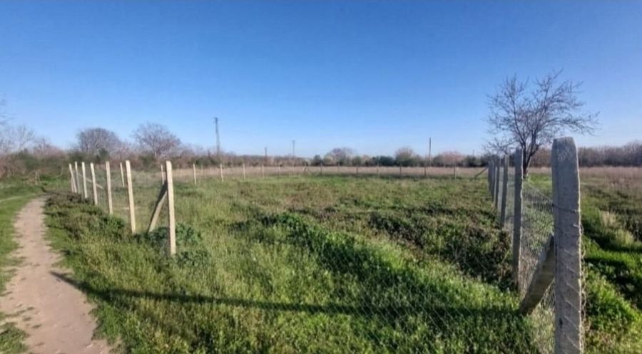 Снимка 338337281