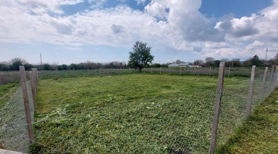 Снимка 338337284