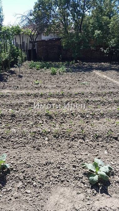 Снимка 338338604