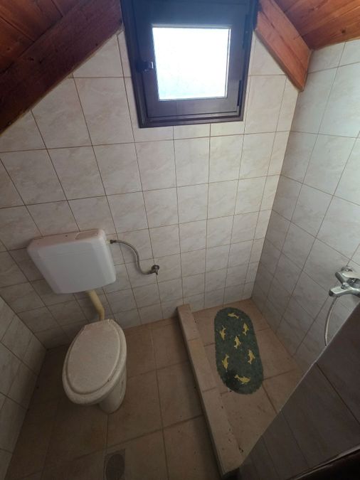 Fotografie 338625245