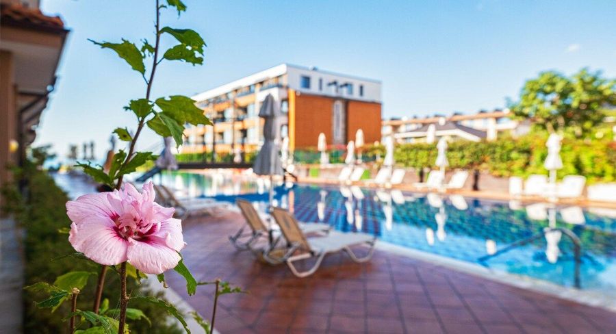 Снимка 338713331