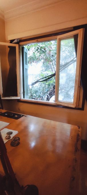 صورة فوتوغرافية 338774972