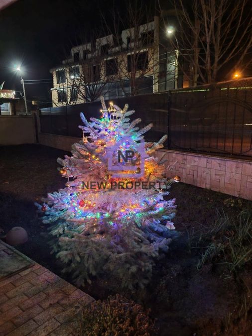 Снимка 338819762