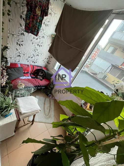 Снимка 339123566