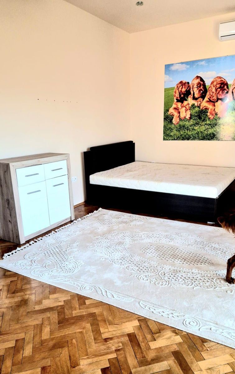 Stone House 175m², Bartula, Bar 5