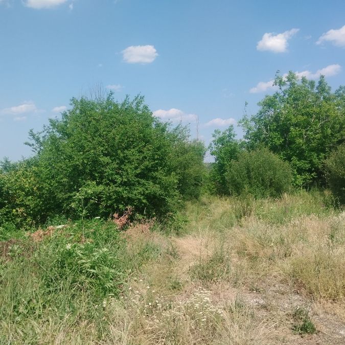 Снимка 339554606