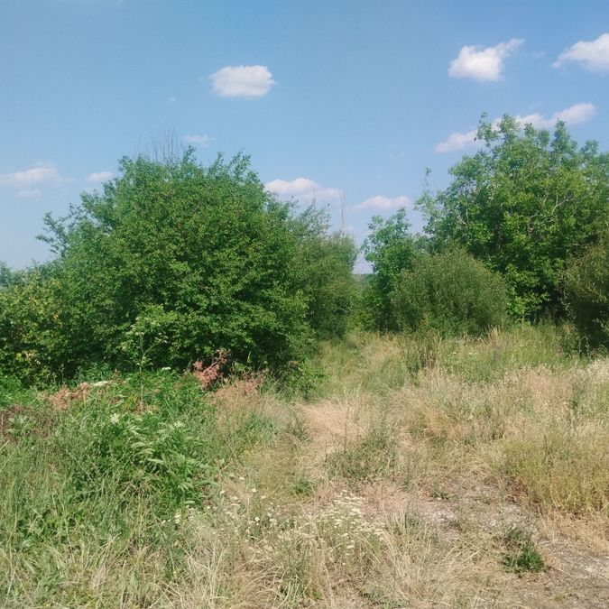 Снимка 339554609