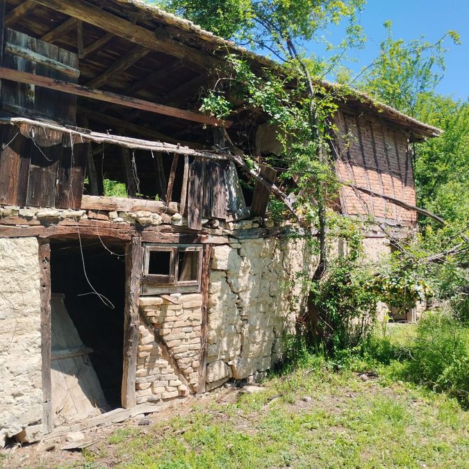 Снимка 339579128