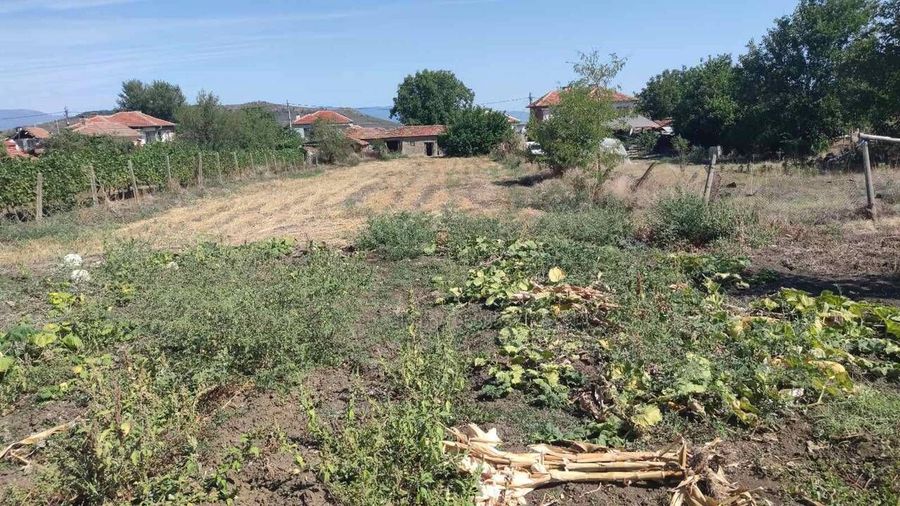 Снимка 341655245