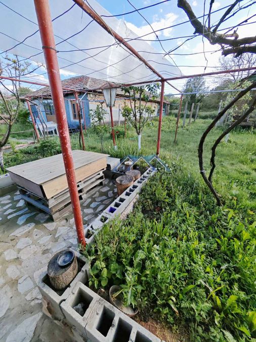 Снимка 342774290