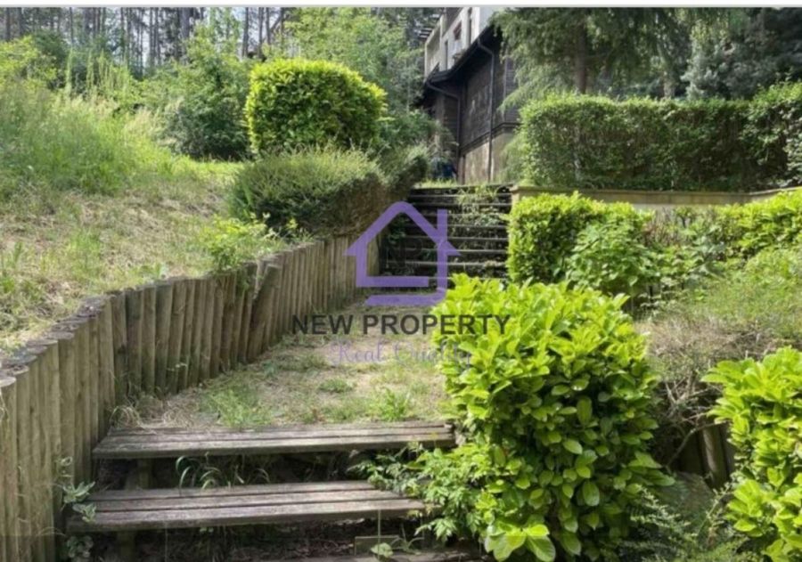 Снимка 343130876