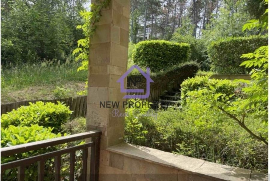 Снимка 343130879