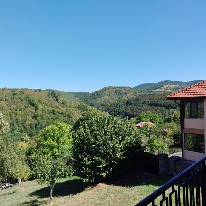 Снимка 343654631