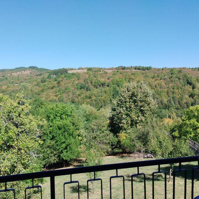 Снимка 343654646