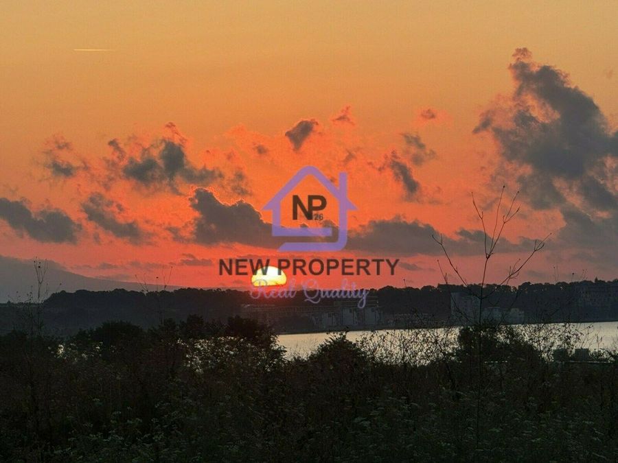 Снимка 343864823