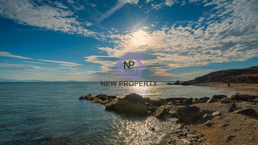 Снимка 343864835