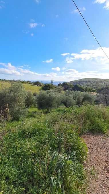 Photo 344650910