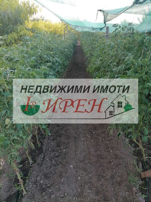 Снимка 344743820