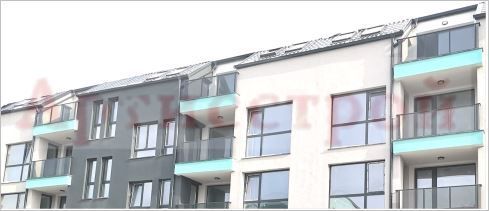 Снимка 345999560